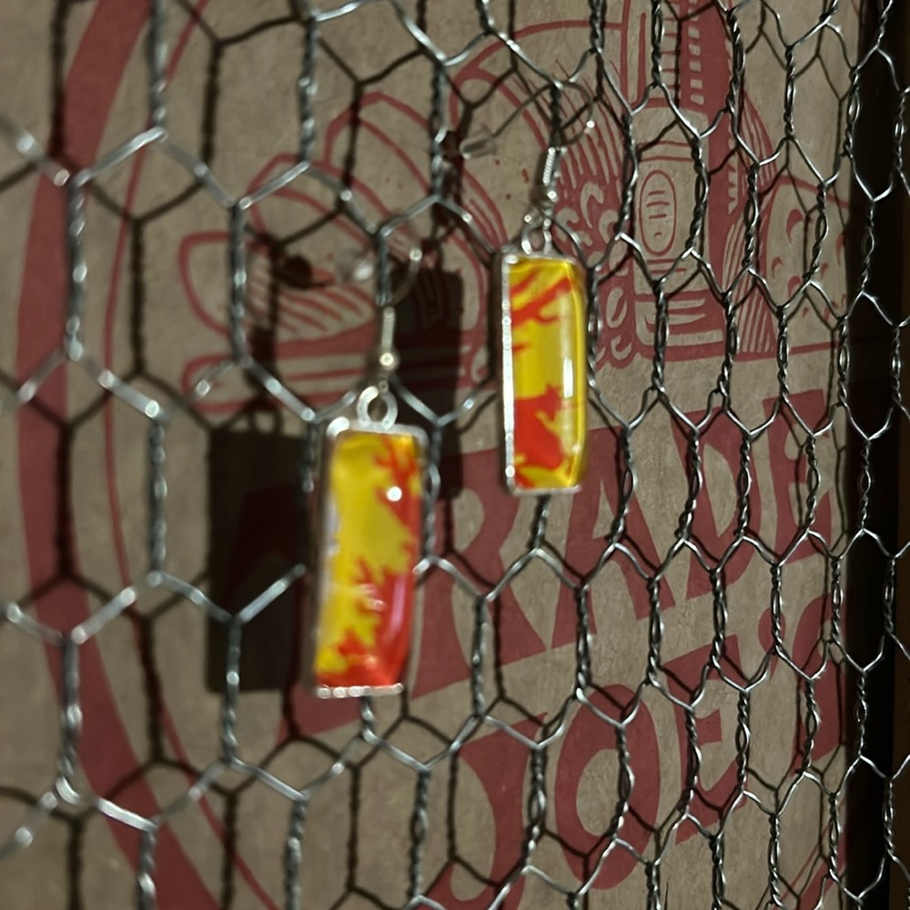 Trader Joe’s rectangular earrings - Picture 2 of 5